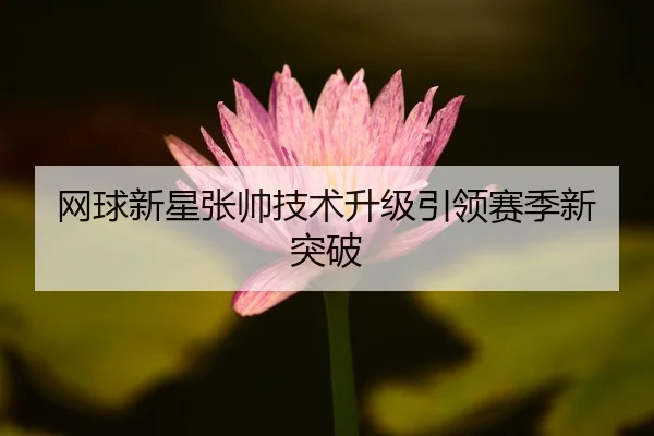 网球新星张帅技术升级引领赛季新突破
